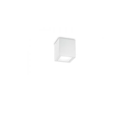 IDEAL-LUX-251561 TECHO Fehér Színű Kültéri Mennyezeti Lámpa 1XGU10 20W IP54