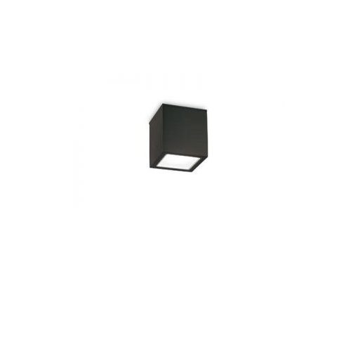 IDEAL-LUX-251578 TECHO Fekete Színű Kültéri Mennyezeti Lámpa 1XGU10 20W IP54