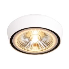   MAXLIGHT-C0207 CHARON Fehér Színű Fürdőszoba Mennyezeti Lámpa LED 12W IP65