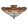 SEARCHLIGHT-1289-16 DRAGONFLY  Többszínű Színű Tiffany Mennyezeti Lámpa 3XE14 40W IP20