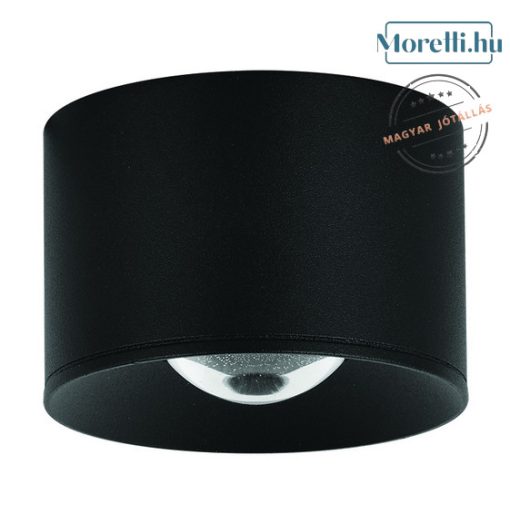ZAMBELIS-S131  Fekete Színű Kültéri Mennyezeti Lámpa LED 12W IP54