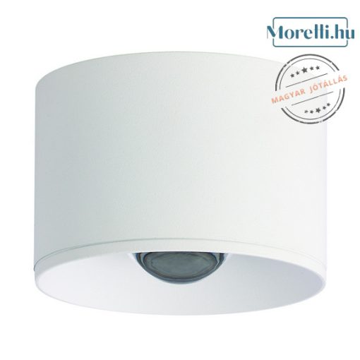 ZAMBELIS-S132  Fehér Színű Kültéri Mennyezeti Lámpa LED 12W IP54