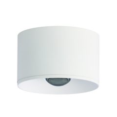   ZAMBELIS-S134  Fehér Színű Kültéri Mennyezeti Lámpa LED 8W IP54