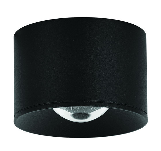 ZAMBELIS-S131 Fekete Színű Kültéri Mennyezeti Lámpa LED 12W IP54